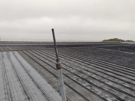 Trabajo realizado N°11 – FECOTEC SRL